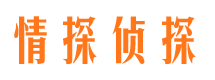 红旗市侦探公司